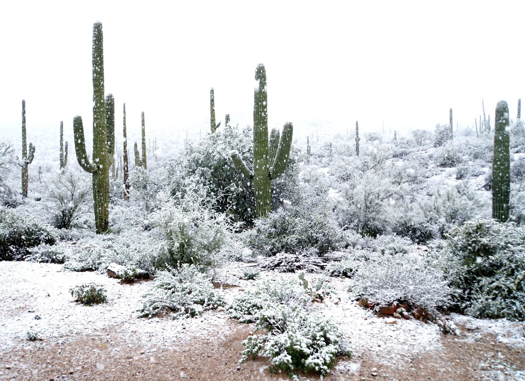 Tucson snow